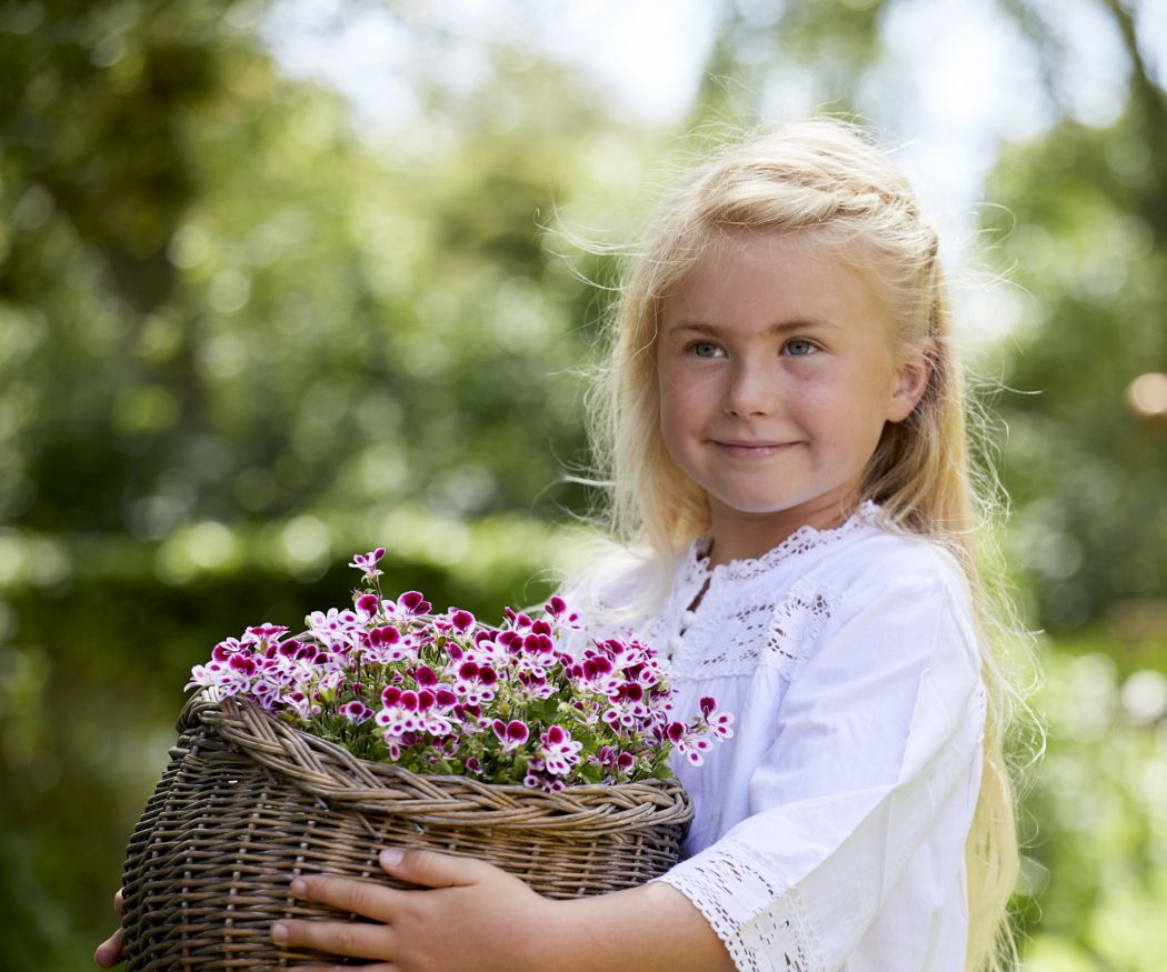 2020-geraniums-1100-summer-flower-girls-05