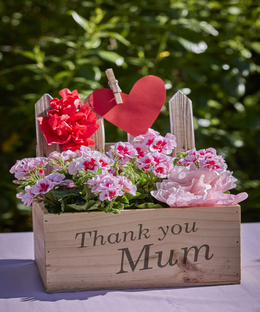 Des cadeaux qui viennent du cœur avec le géranium.