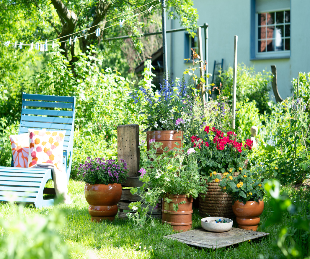 Jardins naturalistes et créatifs avec des géraniums. Durables, colorés et pleins de créativité